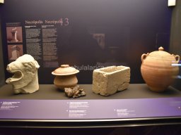 Exposición de los Guerreros de Xian 2023